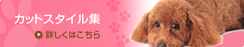 カットスタイル集