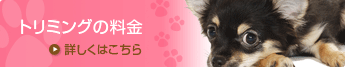 トリミング料金