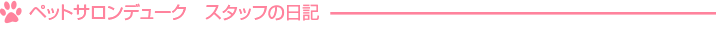 ペットサロンデューク　スタッフの日記