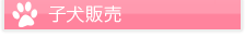 子犬販売
