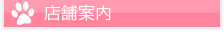 店舗案内