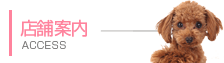 店舗案内
