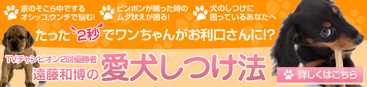 愛犬しつけ法